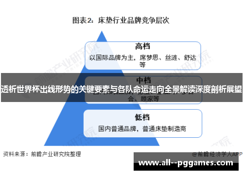 透析世界杯出线形势的关键要素与各队命运走向全景解读深度剖析展望