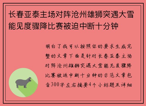 长春亚泰主场对阵沧州雄狮突遇大雪能见度骤降比赛被迫中断十分钟